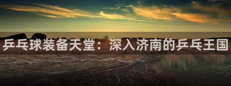 富联平台网站:乒乓球装备天堂:深入济南的乒乓王国