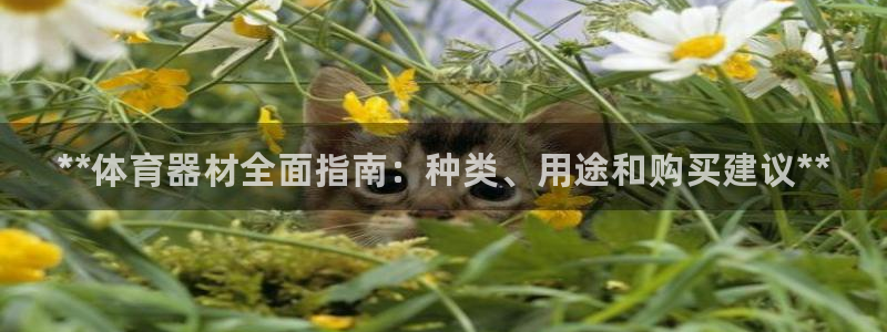 富联平台官网登录入口手机版:**体育器材全面指南:种类、用途