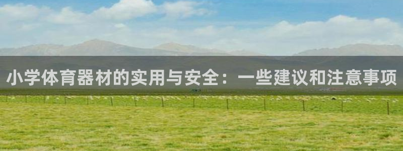 富联娱乐服务站地址:小学体育器材的实用与安全:一些建议和注意