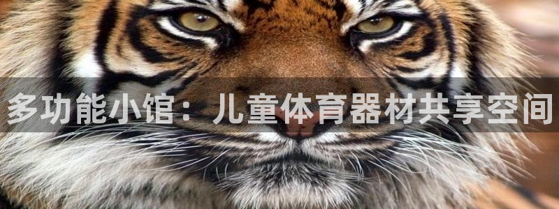 富联平台认 585341 富联:多功能小馆:儿童体育器材共享